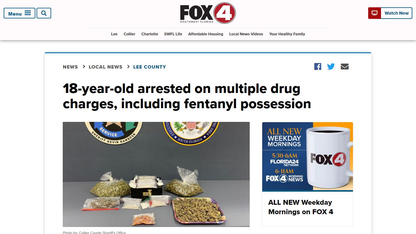 18-year-old arrested on multiple drug charges, including fentanyl ...
